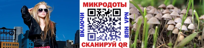 Псилоцибиновые грибы прущие грибы  где можно купить   Сим 